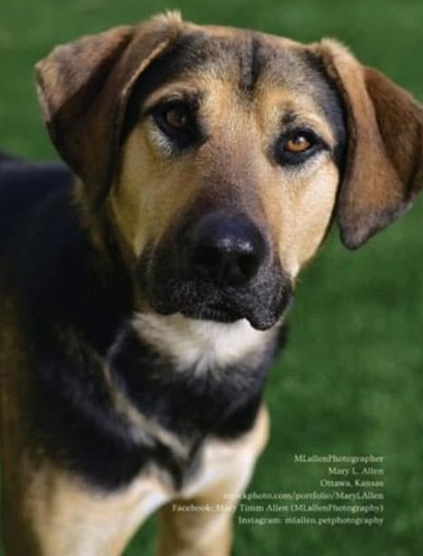 Featured portfolio photo of animal from Prairie Paws in a magazine. Submitted photo by Mary Allen.